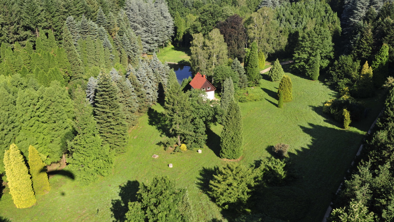 Tatától 7 km-re, a Gerecse hegység egyik páratlan szépségű völgyében 30,5 hektáron láthatóak az arborétum impozáns fás szárú növényei.